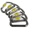 Picture of DMM Aero Screw Gate - 5 Pack