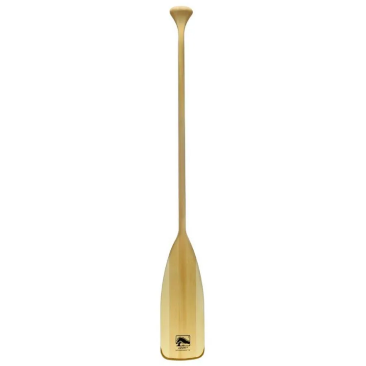 Bending Branches Loon