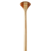 Bending Branches Arrow