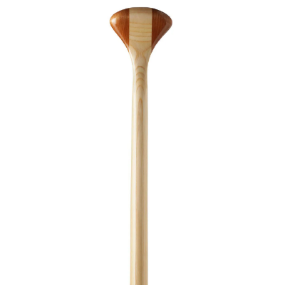 Bending Branches BB Special