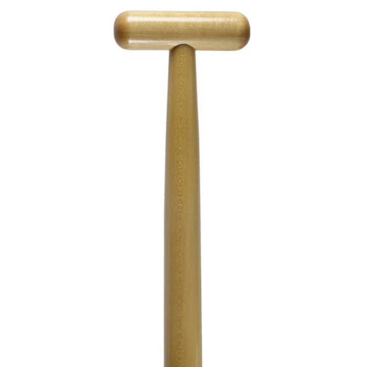 Bending Branches Twig