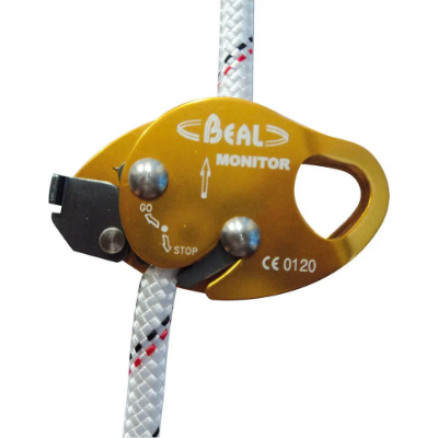 Beal Monitor Beal Monitor