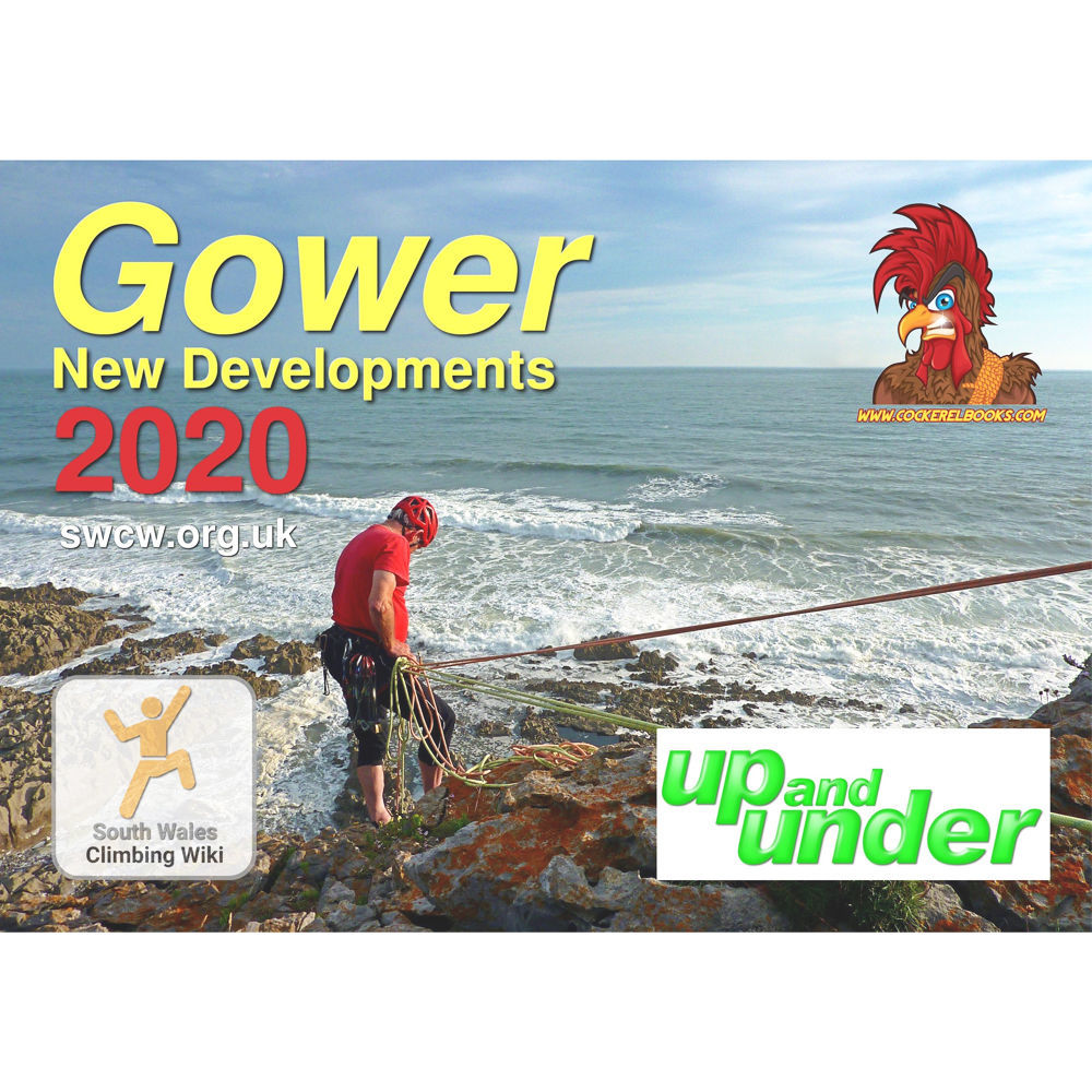 Cockerel Gower New Developments 2020
