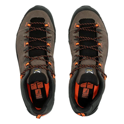 Salewa Alp Trainer 2 GTX Men's Bungee Cord Black