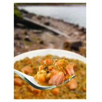 Wayfayrer Main Meal