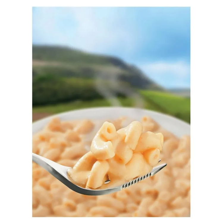 Wayfayrer Main Meal
