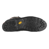 Salewa Crow GTX Men's