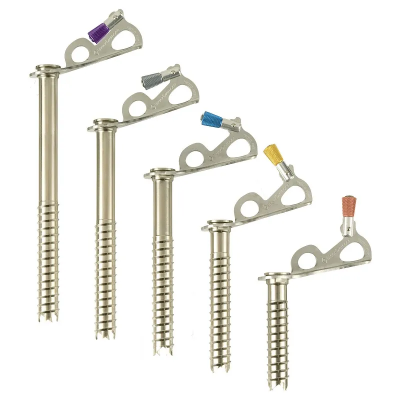 Black Diamond Express Ice Screw