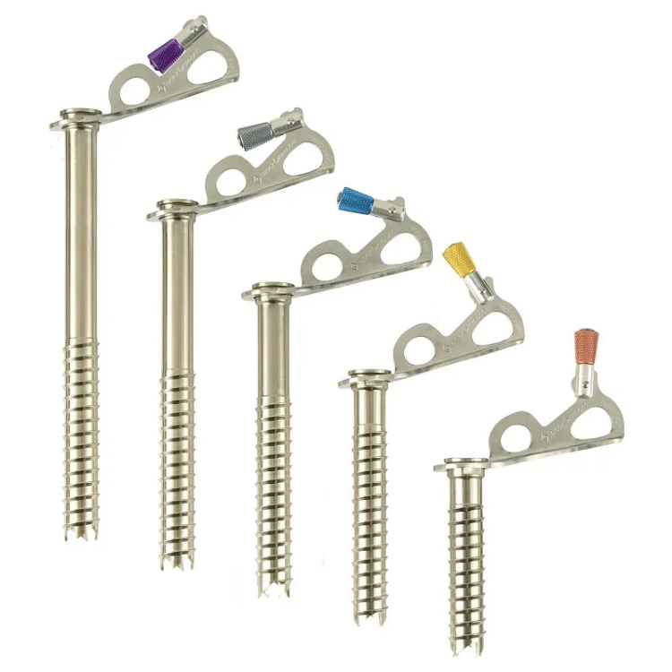 Black Diamond Express Ice Screw