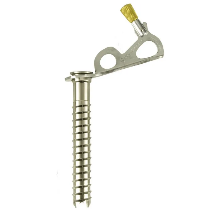 Black Diamond Express Ice Screw