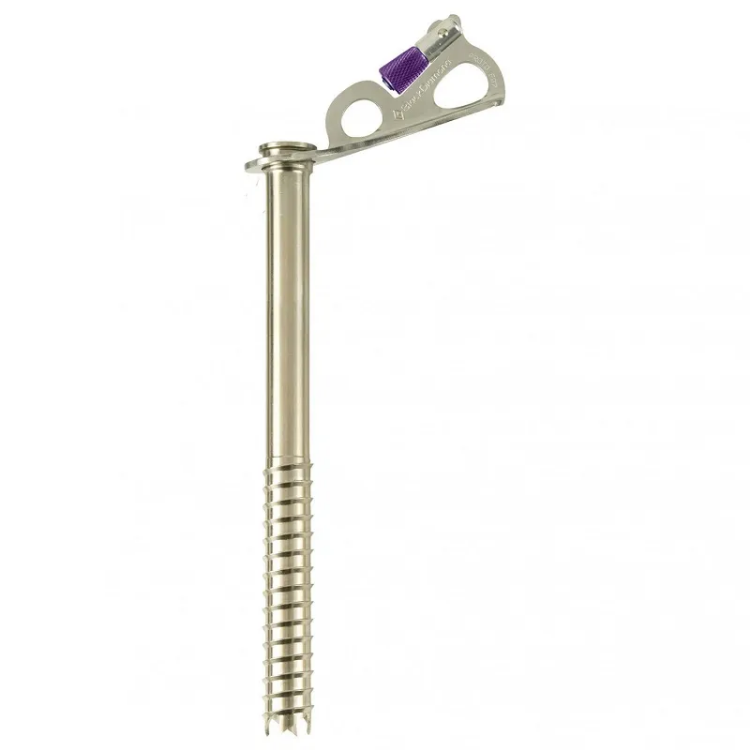 Black Diamond Express Ice Screw - 22cm - Silver / Purple