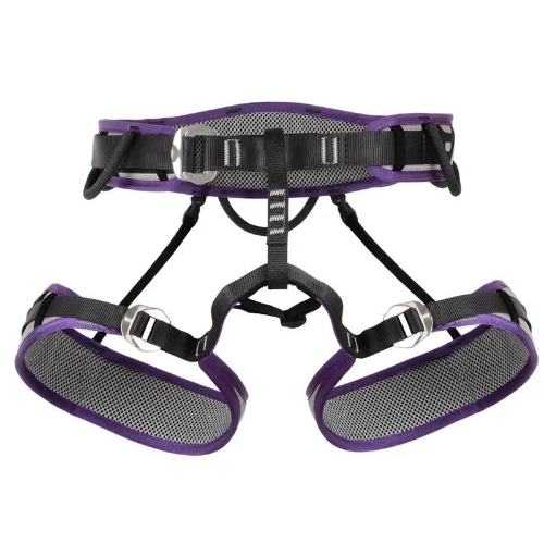 DMM Puma 2
