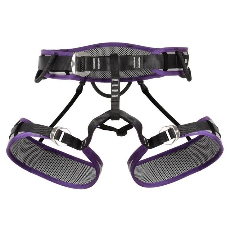 DMM Puma 2