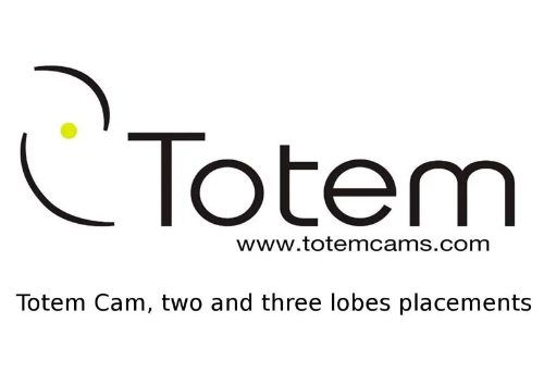 Picture for manufacturer Totem