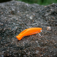 Life Systems Echo Whistle