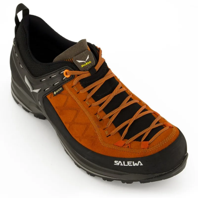 Salewa Mountain Trainer 2 GTX Men's in Autumnal Black