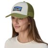 Patagonia P-6 Logo LoPro Trucker Hat in White with Buckhorn Green