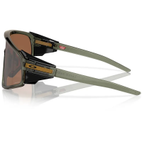 Oakley Latch Panel