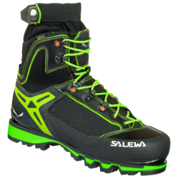 Salewa Vultur Vertical GTX Men's in Black Cactus