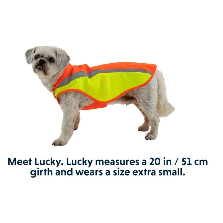 Ruffwear Lumenglow High-Vis Dog Jacket - Blaze Orange