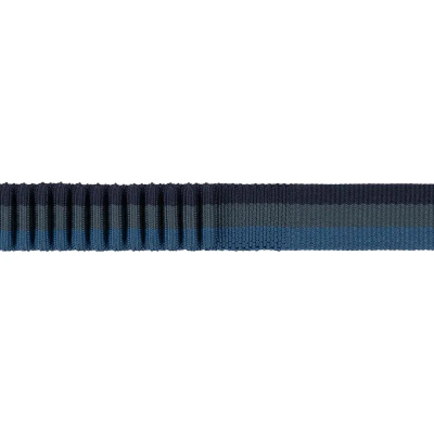 Ruffwear Roamer Bungee Dog Lead - Orion Blue