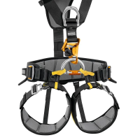 Petzl Falcon Ascent