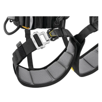 Petzl Falcon Ascent