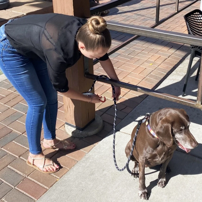 Fido Pro Tag Leash