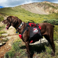 Fido Pro The Panza Harness
