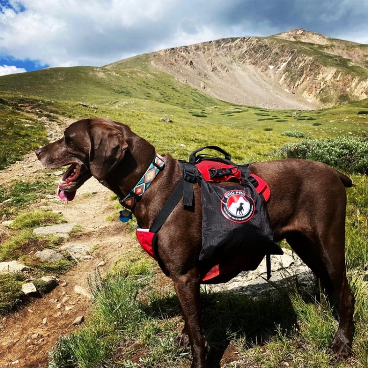 Fido Pro Saddle Dry-Bags