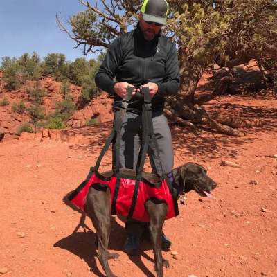 Fido Pro The Airlift