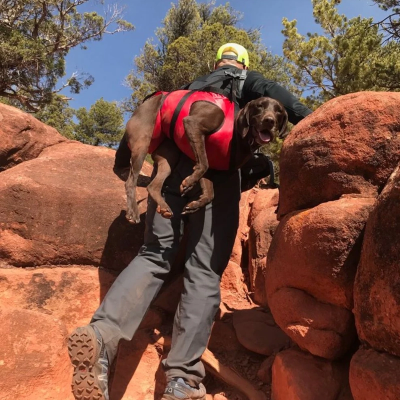 Fido Pro The Airlift