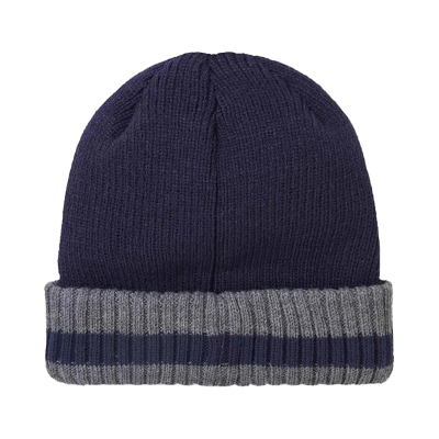 Sealskinz Holkham - Waterproof Cold Weather Stripe RC Beanie