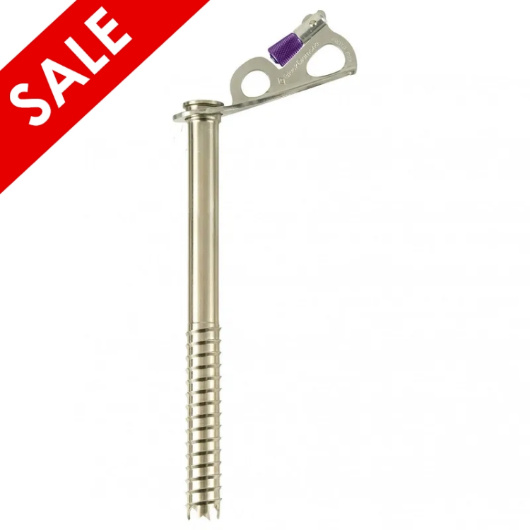 Black Diamond Express Ice Screw