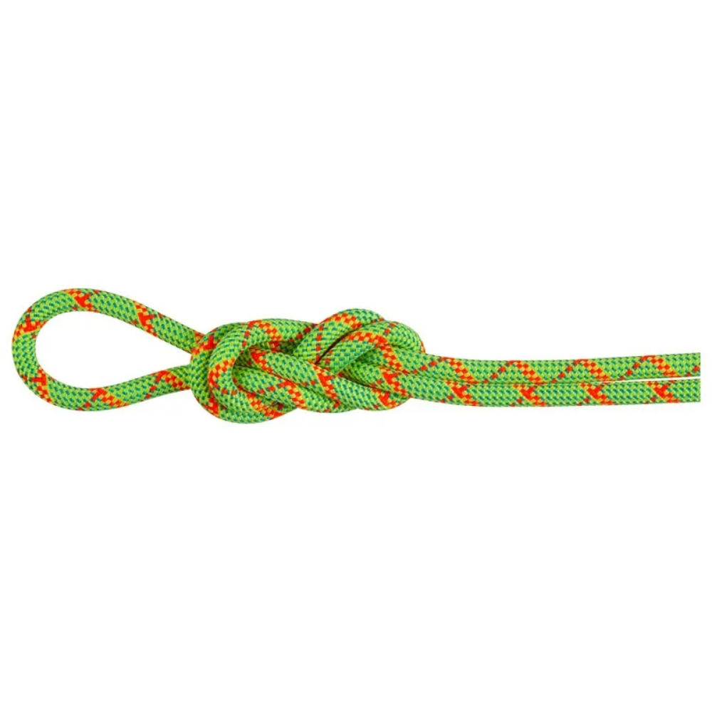 Mammut 8.0 Alpine Core Protect Dry Rope - Halo-Vibrant Orange