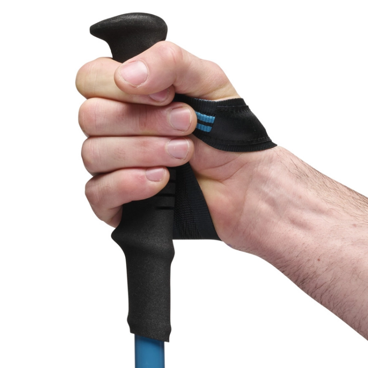 Black Diamond Distance Carbon FLZ Poles - Desert Sky