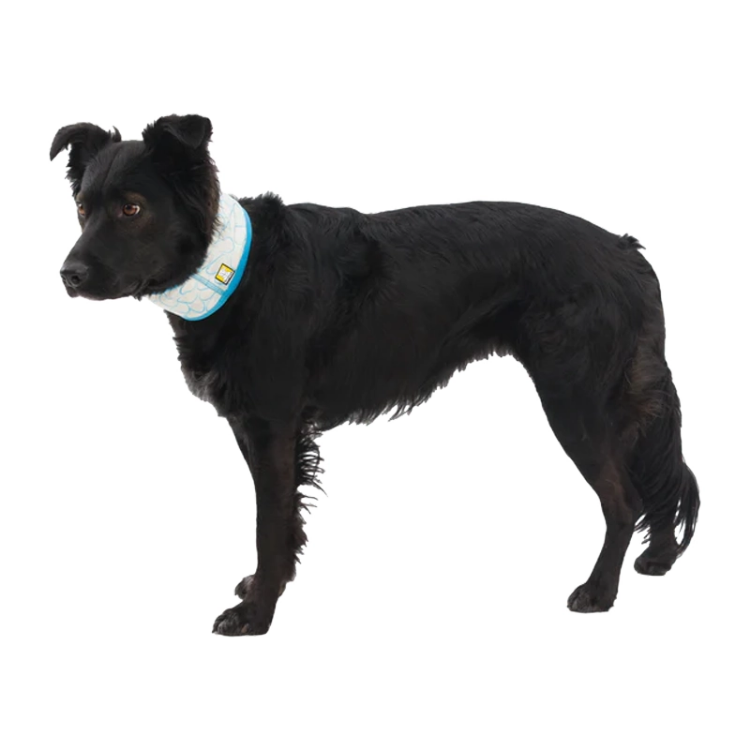 Ruffwear Swamp Cooler Cooling Neck Gaiter - Biolumin Blue