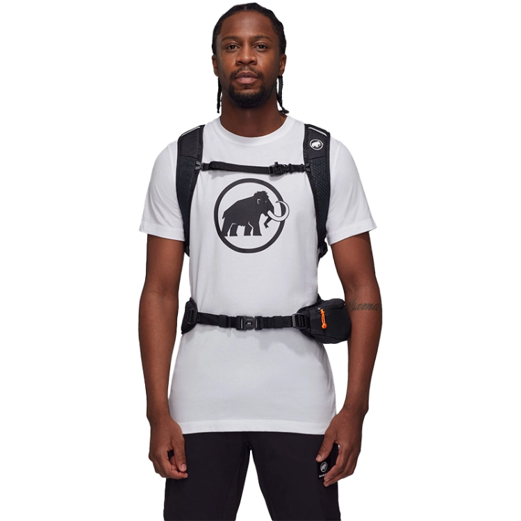 Mammut Lithium 20 - Platinum-Black