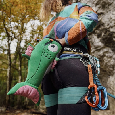 Picture of Fish Chalk Bag