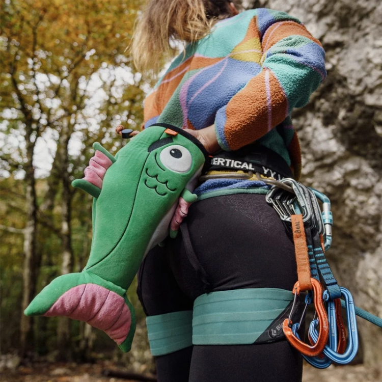 Picture of Fish Chalk Bag
