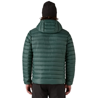 Patagonia Men’s Down Sweater Hoody - Cascade Green