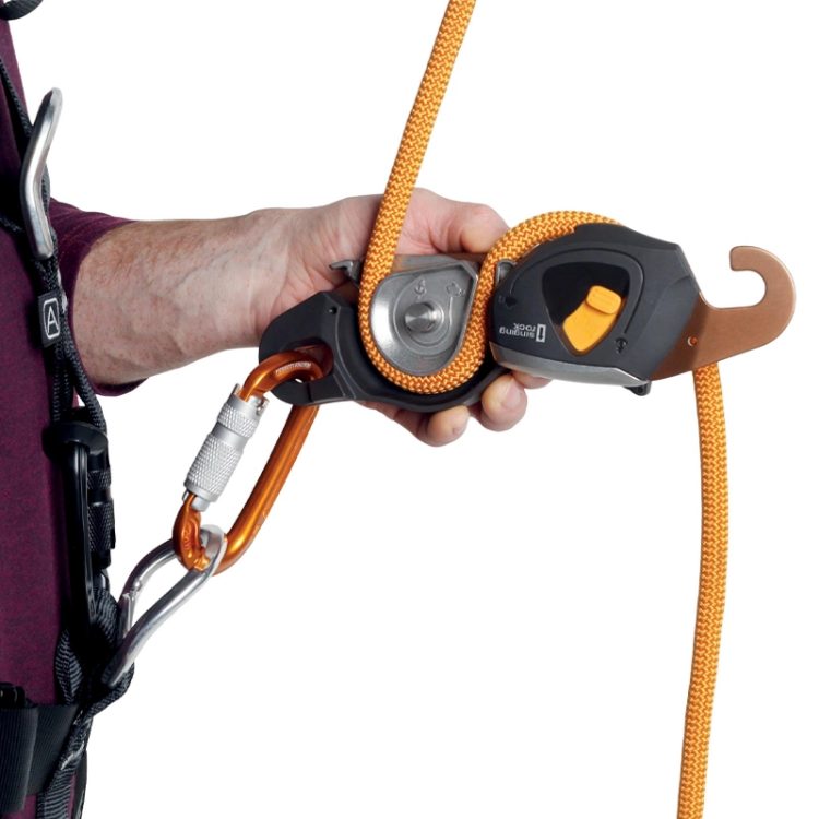 Singing Rock Jack - Gold