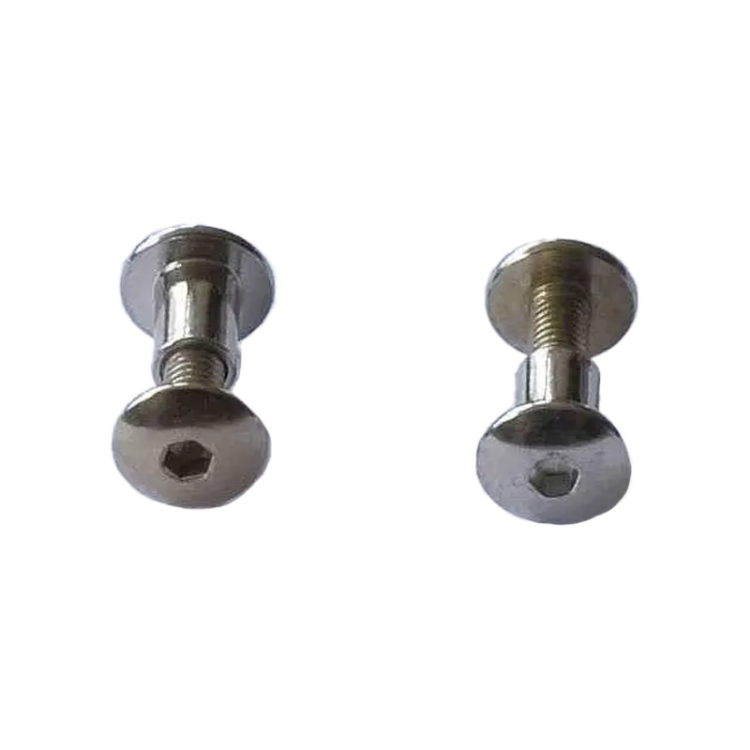 Picture of Eckla Beach Rolly Screw Set for Hinge