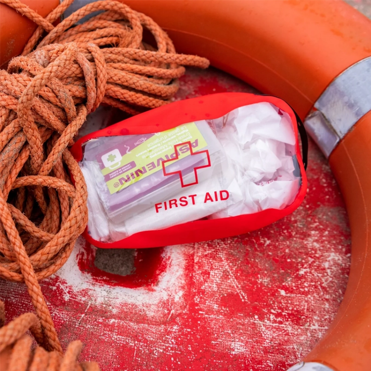 Exped Organizer Clear Cube First Aid