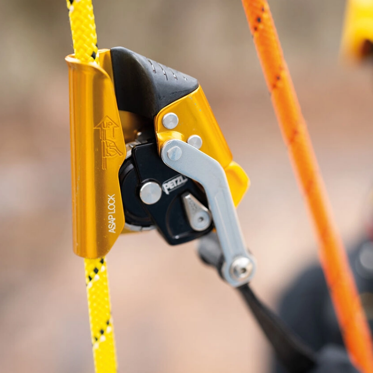 Petzl ASAP Lock