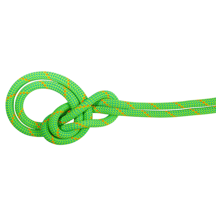 Mammut 9.5 Crag Dry Rope - Neon Green - Ocean