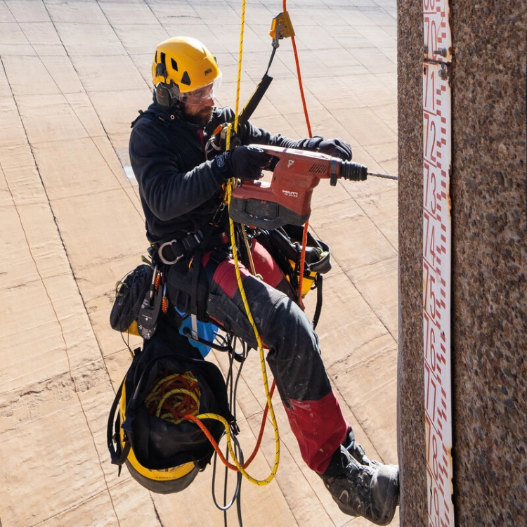 Petzl Asap'sorber Axess