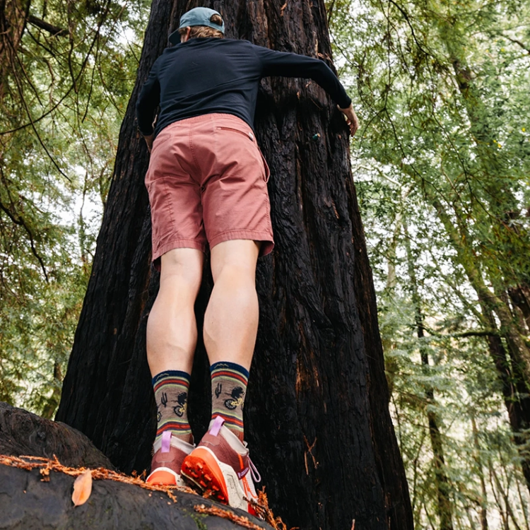 Darn Tough Men's Willoughby Micro Crew Lightweight Hiking Socks - Chestnut