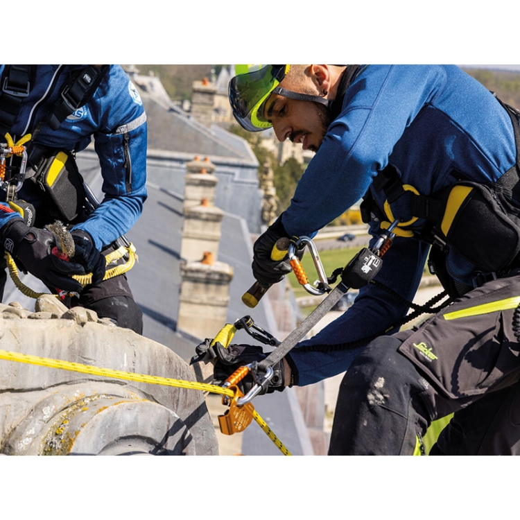 Petzl ASAP'sorber