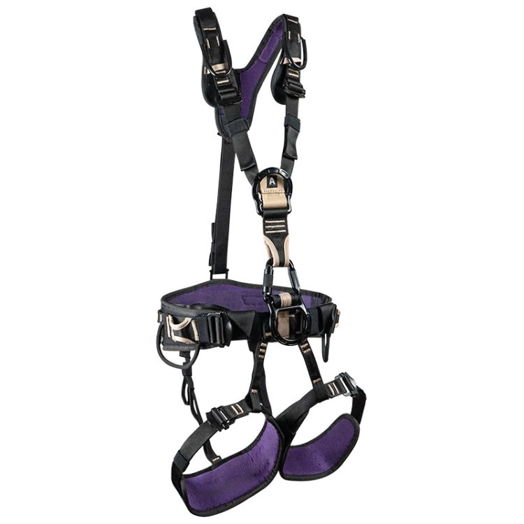 Beal Dragon Sit - Black / Purple